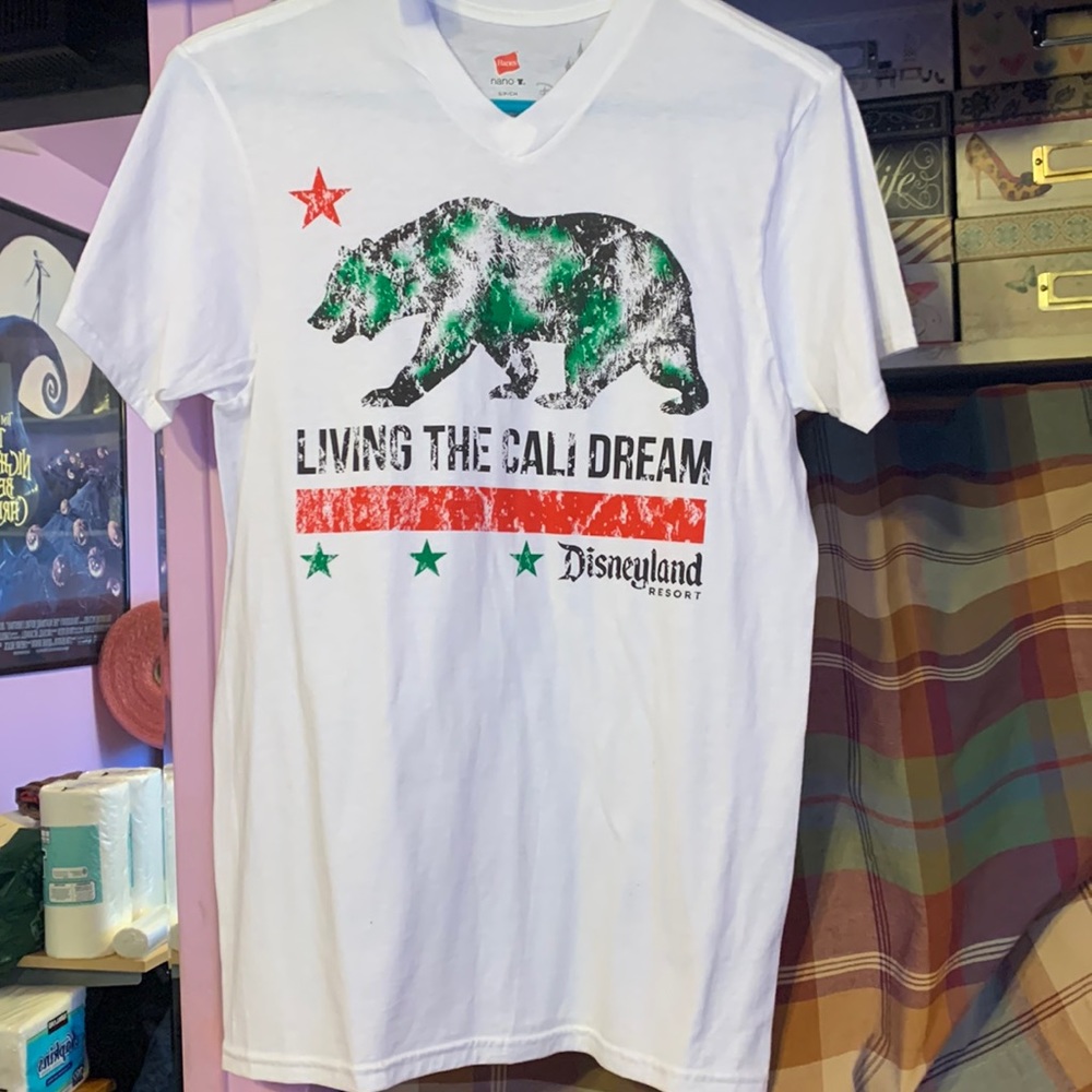 Purchased at Disney parks resort